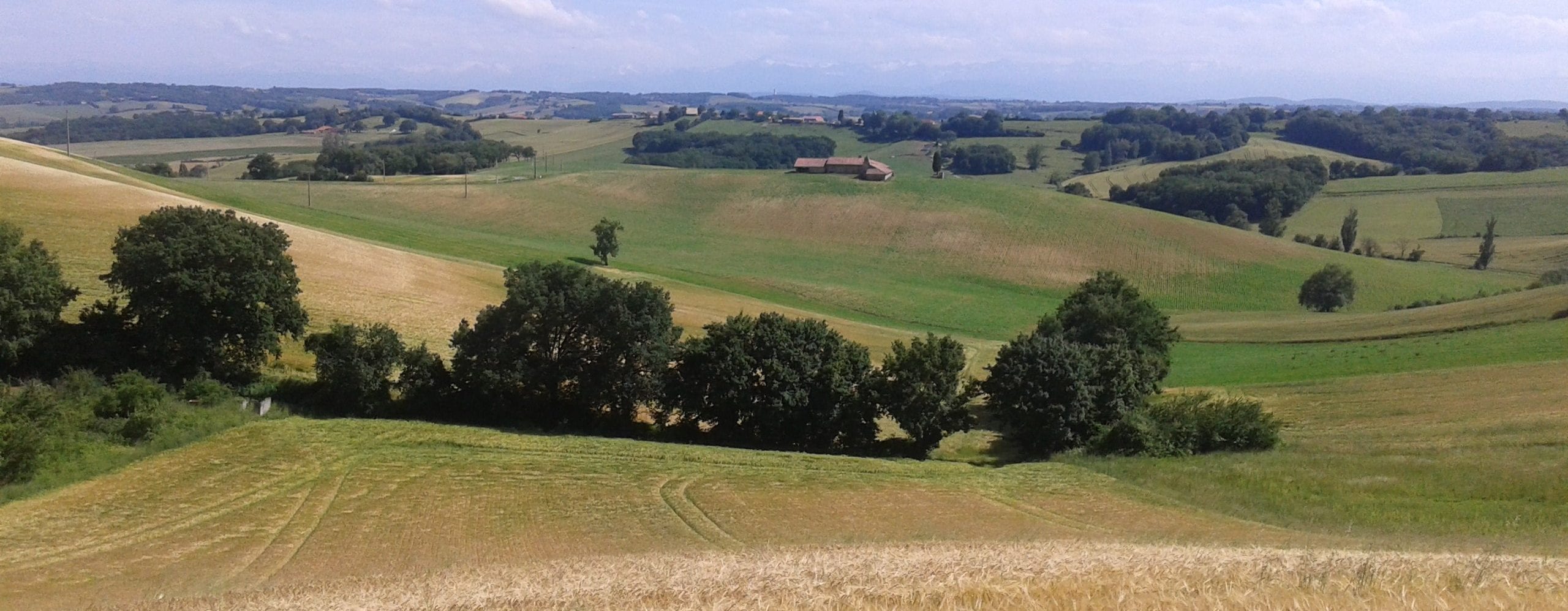 Campagne de Sajas