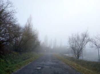 Chemin de Campinas - photo