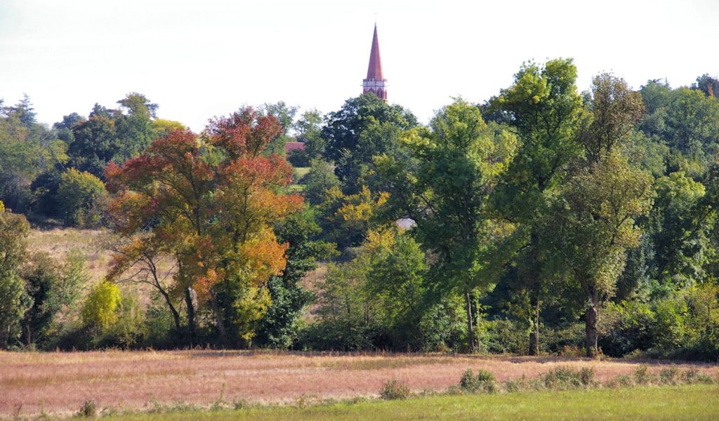 campagne campagne